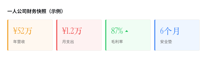 一人公司财务快照